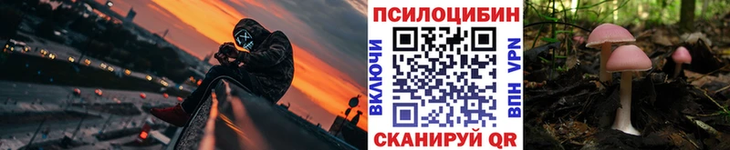 Галлюциногенные грибы Psilocybe  Багратионовск 