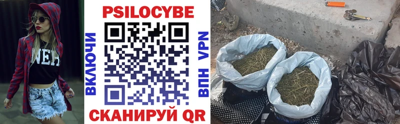 Галлюциногенные грибы Cubensis Багратионовск
